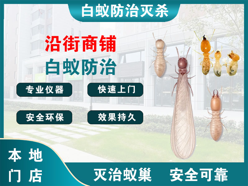 崇川沿街商铺白蚁防治
