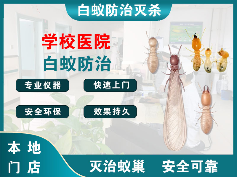 崇川学校医院白蚁防治