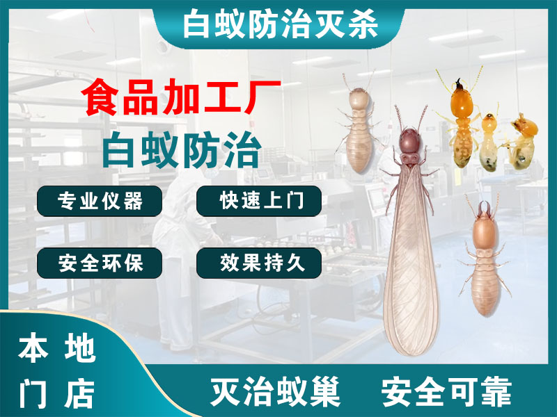 崇川食品加工厂白蚁防治