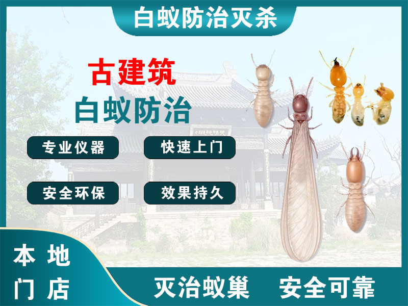崇川古建筑白蚁防治